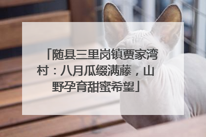 随县三里岗镇贾家湾村：八月瓜缀满藤，山野孕育甜蜜希望