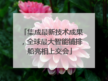 集成最新技术成果，全球最大智能铺排船亮相上交会