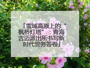 雪域高原上的“枫桥灯塔”：青海吉迈派出所书写新时代警务答卷