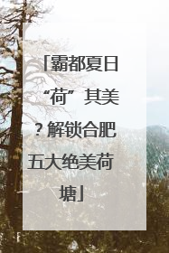 霸都夏日“荷”其美？解锁合肥五大绝美荷塘