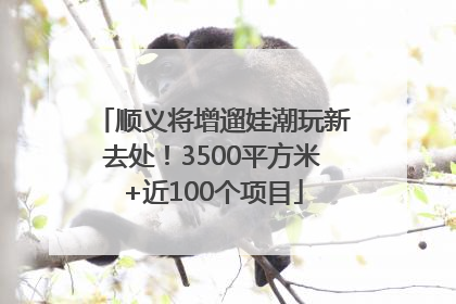 顺义将增遛娃潮玩新去处！3500平方米+近100个项目