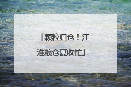 颗粒归仓！江淮粮仓夏收忙