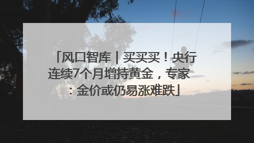 风口智库｜买买买！央行连续7个月增持黄金，专家：金价或仍易涨难跌
