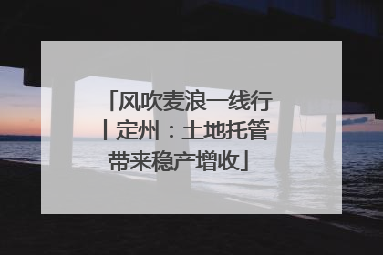 风吹麦浪一线行丨定州：土地托管带来稳产增收