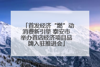 首发经济“燃”动消费新引擎 泰安市举办首店经济项目品牌入驻推进会