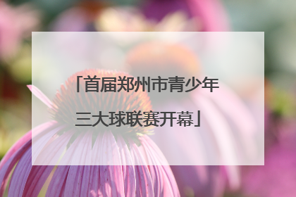 首届郑州市青少年三大球联赛开幕