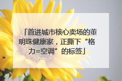 首进城市核心卖场的董明珠健康家，正撕下“格力=空调”的标签