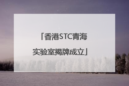 香港STC青海实验室揭牌成立
