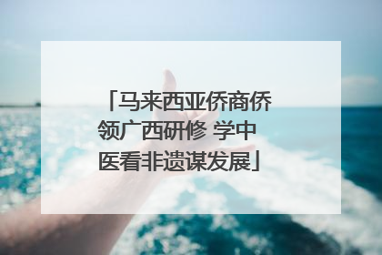 马来西亚侨商侨领广西研修 学中医看非遗谋发展