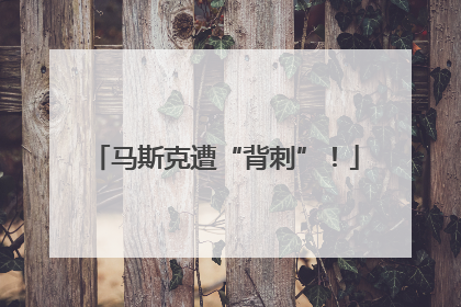 马斯克遭“背刺”！