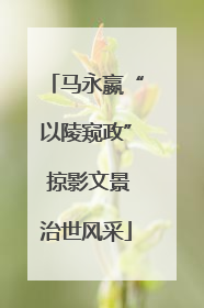 马永嬴“以陵窥政” 掠影文景治世风采