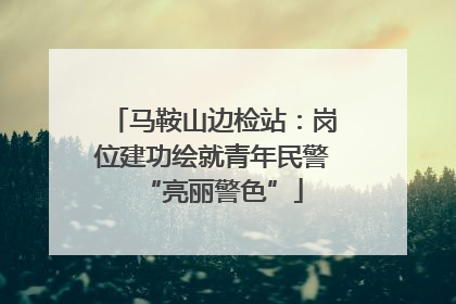 马鞍山边检站：岗位建功绘就青年民警“亮丽警色”