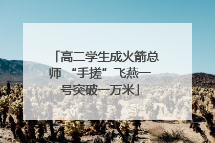 高二学生成火箭总师 “手搓”飞燕一号突破一万米