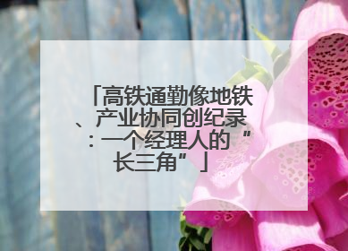 高铁通勤像地铁、产业协同创纪录：一个经理人的“长三角”