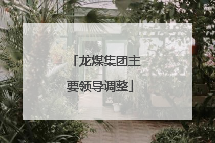 龙煤集团主要领导调整