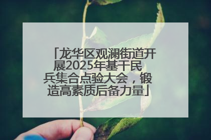龙华区观澜街道开展2025年基干民兵集合点验大会，锻造高素质后备力量