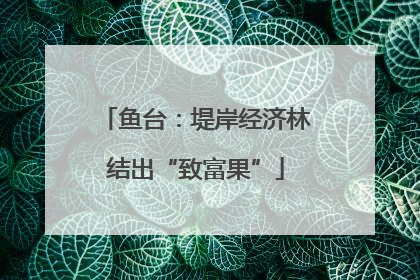 鱼台：堤岸经济林结出“致富果”