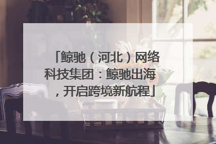 鲸驰（河北）网络科技集团：鲸驰出海，开启跨境新航程