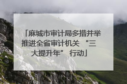 麻城市审计局多措并举推进全省审计机关 “三大提升年” 行动