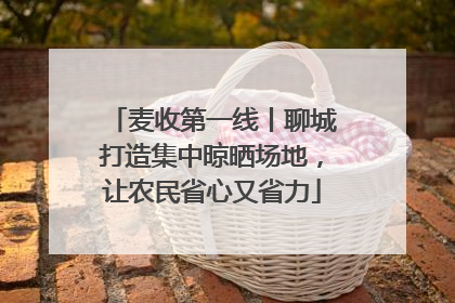 麦收第一线丨聊城打造集中晾晒场地,让农民省心又省力