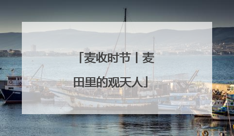 麦收时节丨麦田里的观天人