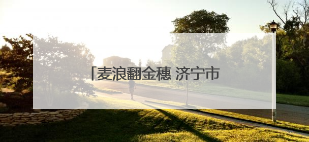 麦浪翻金穗 济宁市任城区32.28万亩小麦陆续开镰收割