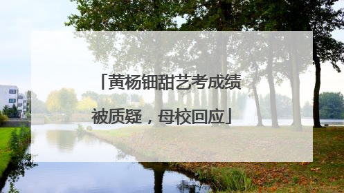 黄杨钿甜艺考成绩被质疑，母校回应