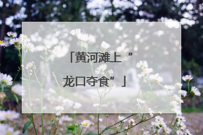 黄河滩上“龙口夺食”