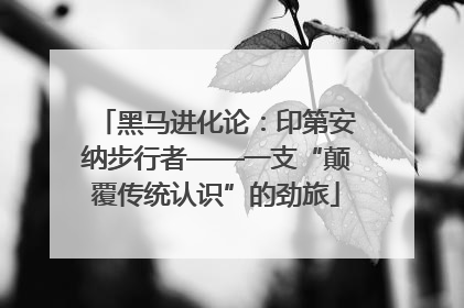 黑马进化论：印第安纳步行者——一支“颠覆传统认识”的劲旅