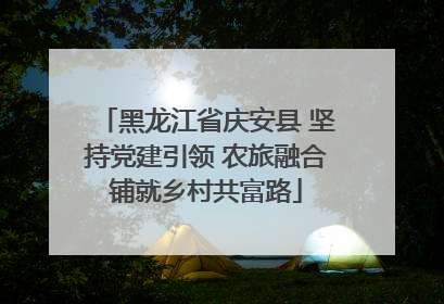 黑龙江省庆安县 坚持党建引领 农旅融合铺就乡村共富路