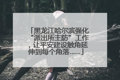 黑龙江哈尔滨强化“派出所主防”工作，让平安建设触角延伸到每个角落……