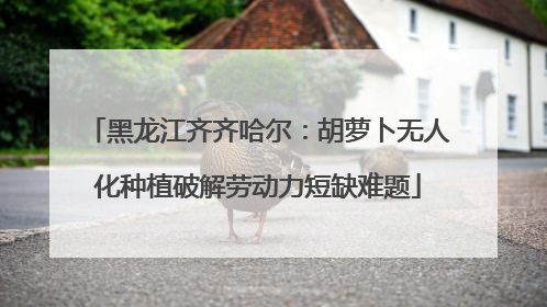 黑龙江齐齐哈尔：胡萝卜无人化种植破解劳动力短缺难题