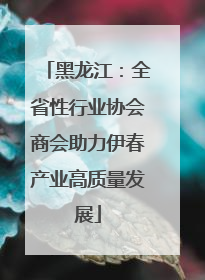 黑龙江：全省性行业协会商会助力伊春产业高质量发展