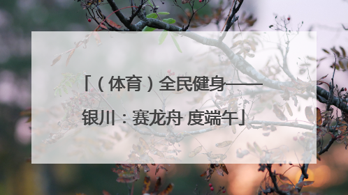 （体育）全民健身——银川：赛龙舟 度端午