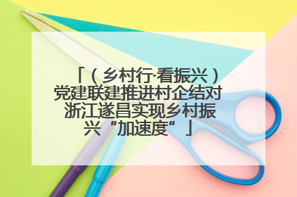 （乡村行·看振兴）党建联建推进村企结对 浙江遂昌实现乡村振兴“加速度”
