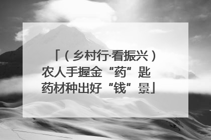 （乡村行·看振兴）农人手握金“药”匙 药材种出好“钱”景