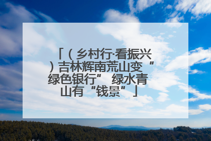 （乡村行·看振兴）吉林辉南荒山变“绿色银行” 绿水青山有“钱景”