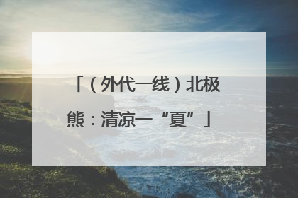 （外代一线）北极熊：清凉一“夏”