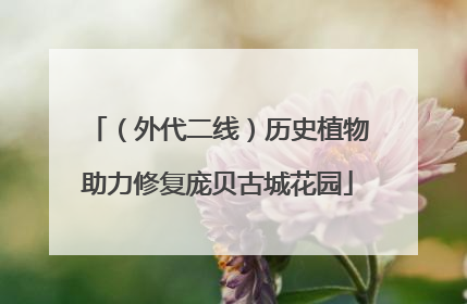 （外代二线）历史植物助力修复庞贝古城花园