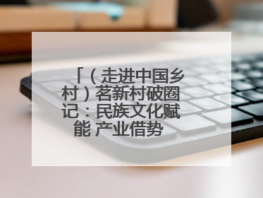 （走进中国乡村）茗新村破圈记：民族文化赋能 产业借势 “网红东风”