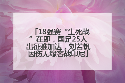 18强赛“生死战”在即，国足25人出征雅加达，刘若钒因伤无缘客战印尼