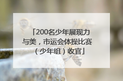 200名少年展现力与美，市运会体操比赛（少年组）收官