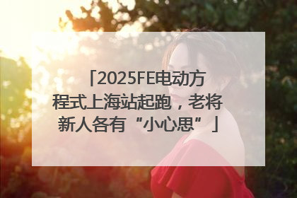 2025FE电动方程式上海站起跑，老将新人各有“小心思”