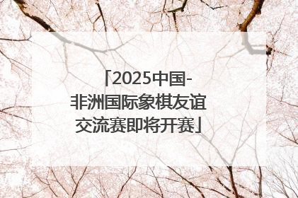 2025中国-非洲国际象棋友谊交流赛即将开赛