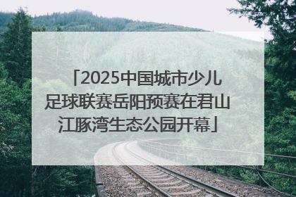 2025中国城市少儿足球联赛岳阳预赛在君山江豚湾生态公园开幕