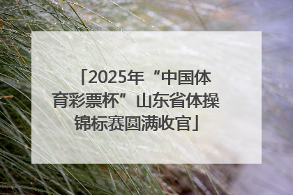 2025年“中国体育彩票杯”山东省体操锦标赛圆满收官