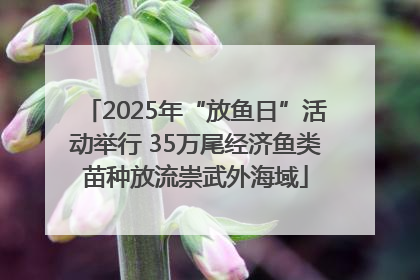 2025年“放鱼日”活动举行 35万尾经济鱼类苗种放流崇武外海域
