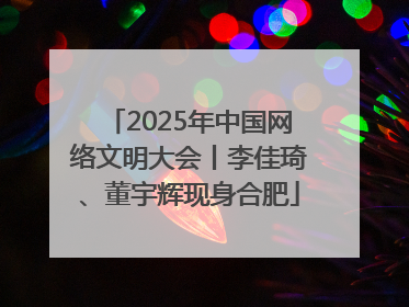 2025年中国网络文明大会丨李佳琦、董宇辉现身合肥