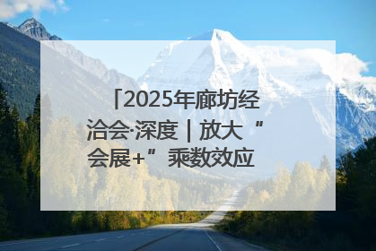 2025年廊坊经洽会·深度｜放大“会展+”乘数效应 打造消费新场景