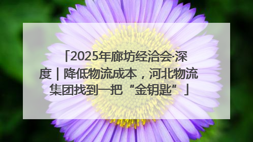 2025年廊坊经洽会·深度｜降低物流成本，河北物流集团找到一把“金钥匙”